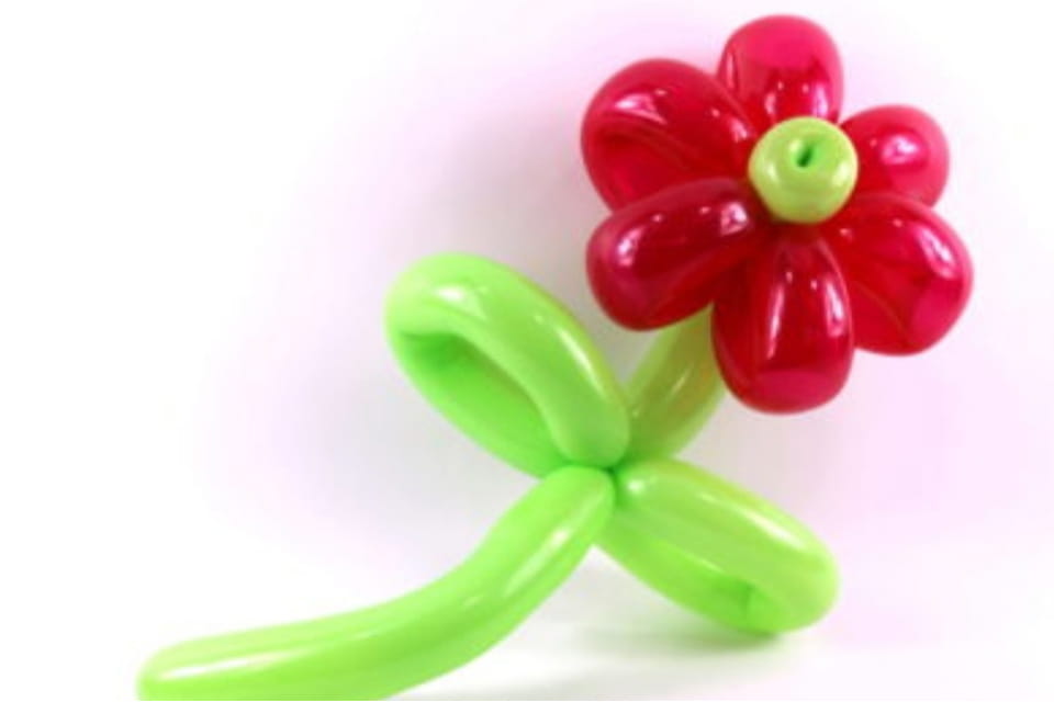 Balloon Sculpting